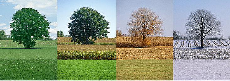 《崩坏：星穹铁道》全平台下载量突破1亿 上线不到一年